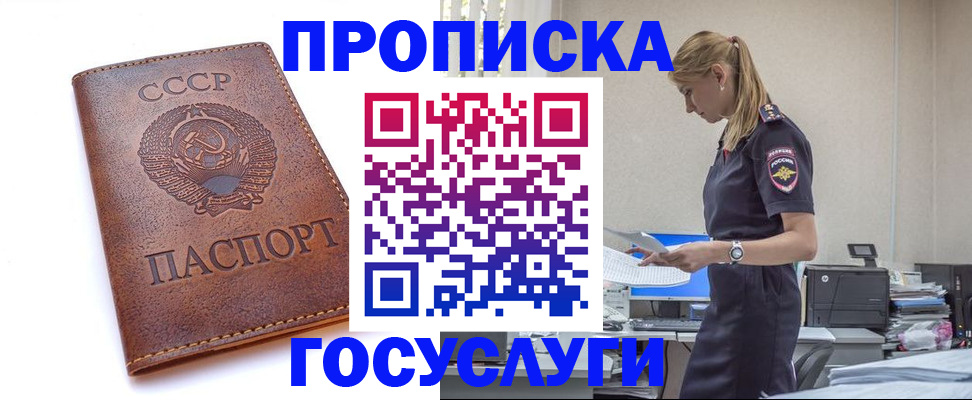 временная регистрация госуслуги в Благовещенске